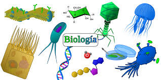 Biologia